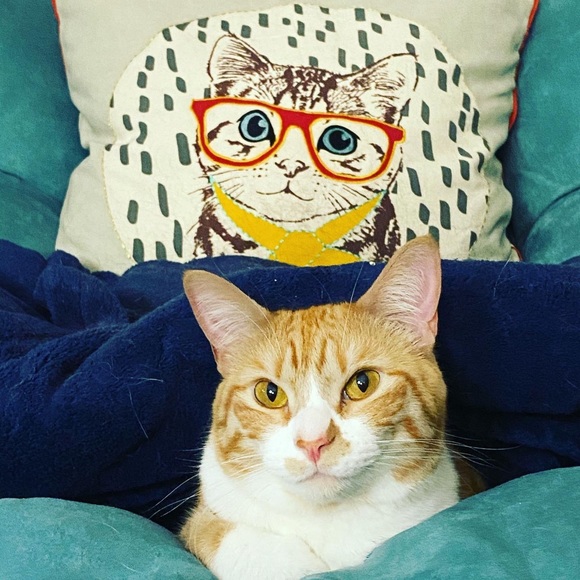 Meet your Posher - Picture 9 of 11